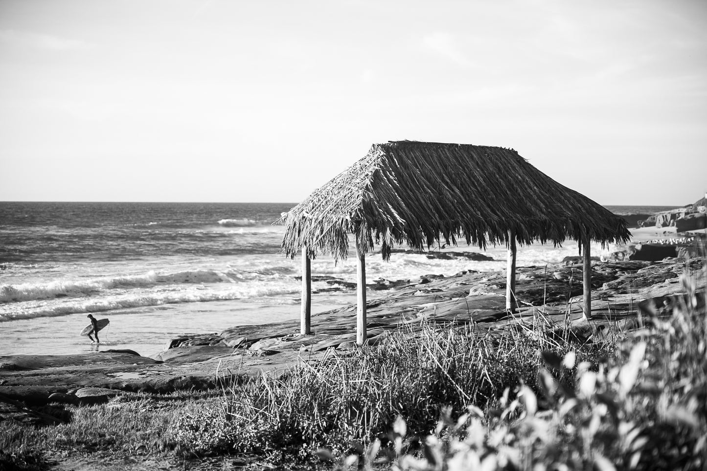 Windansea Surfer B&W