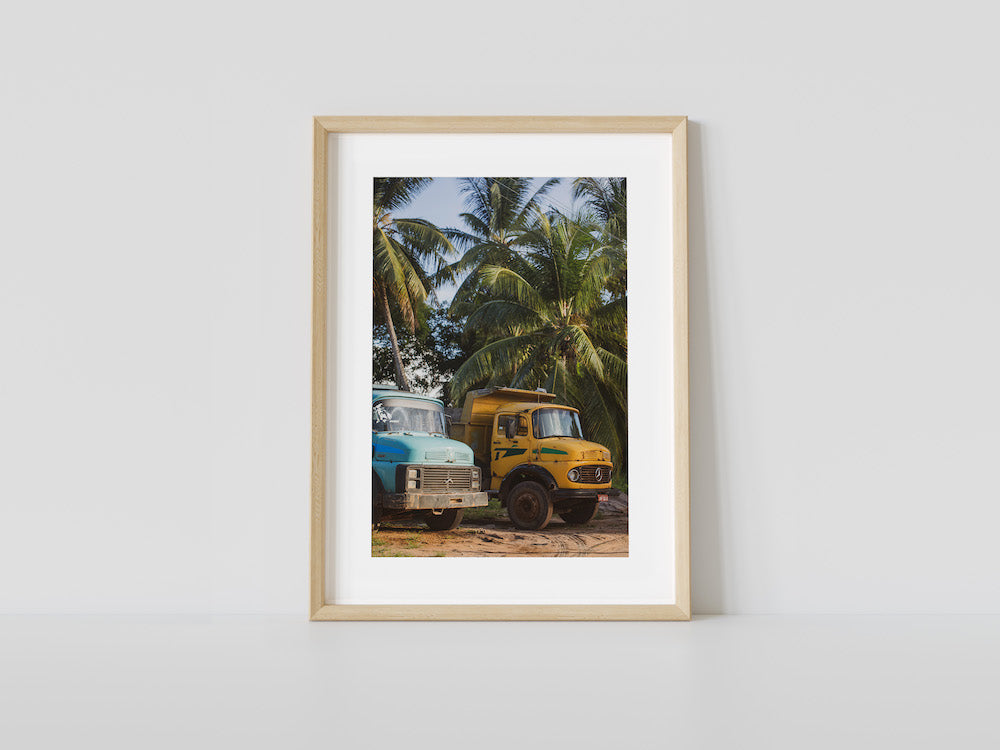 Work Trucks in Bahia